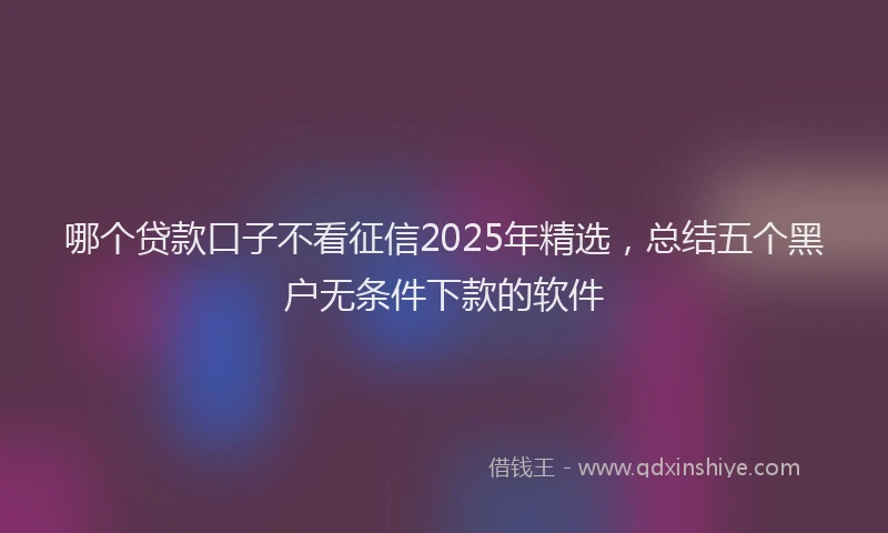 哪个贷款口子不看征信2025年精选，总结五个黑户无条件下款的软件