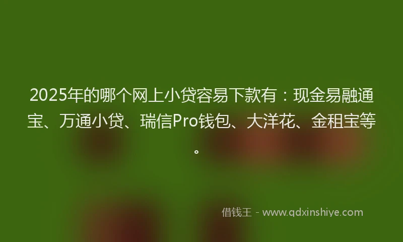 2025年的哪个网上小贷容易下款有：现金易融通宝、万通小贷、瑞信Pro钱包、大洋花、金租宝等。