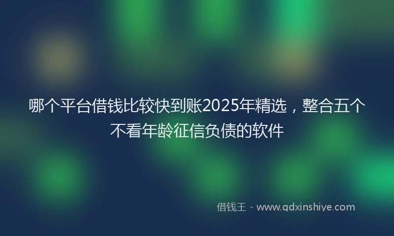 哪个平台借钱比较快到账2025年精选，整合五个不看年龄征信负债的软件