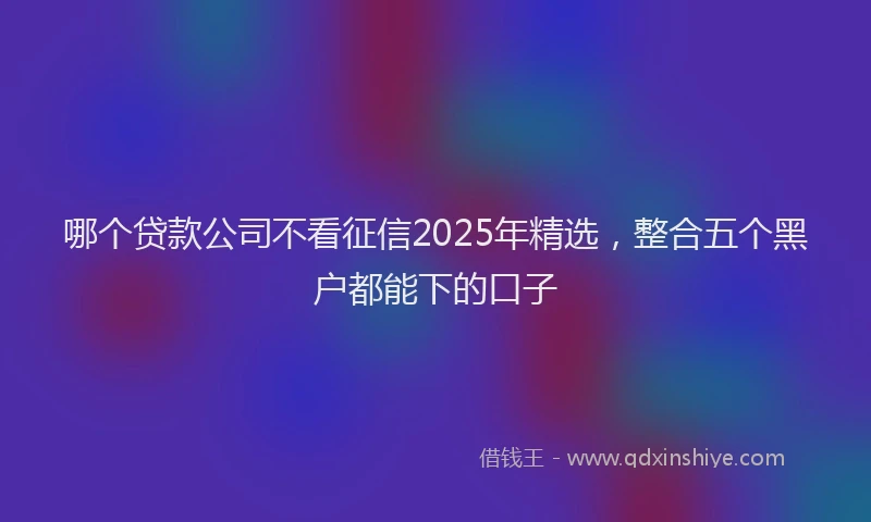 哪个贷款公司不看征信2025年精选，整合五个黑户都能下的口子