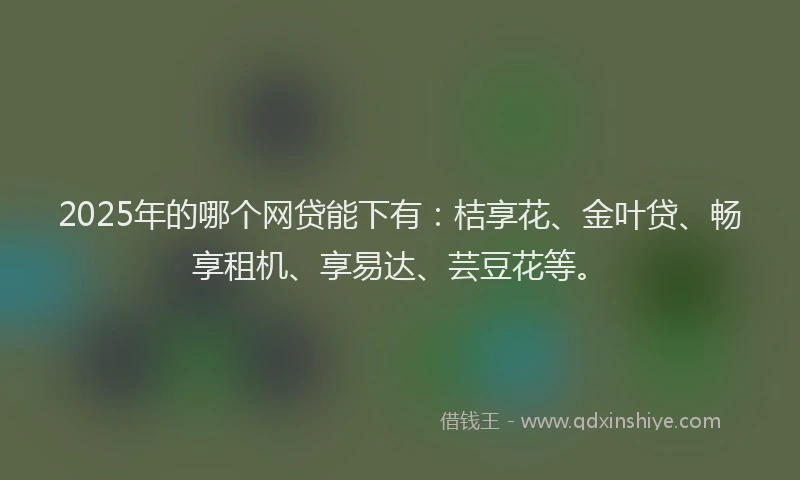 2025年的哪个网贷能下有：桔享花、金叶贷、畅享租机、享易达、芸豆花等。