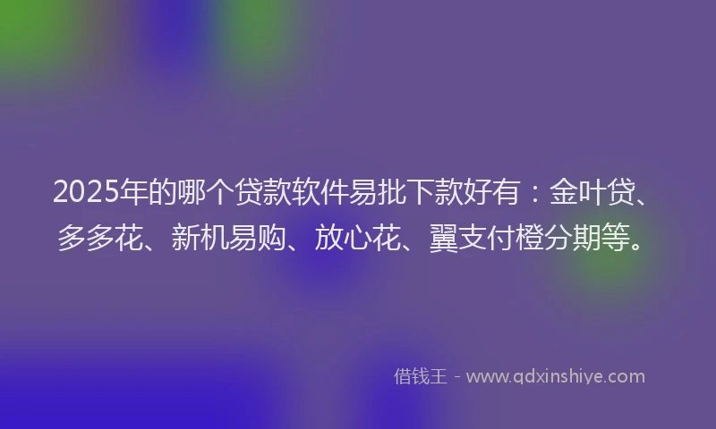 2025年的哪个贷款软件易批下款好有：金叶贷、多多花、新机易购、放心花、翼支付橙分期等。