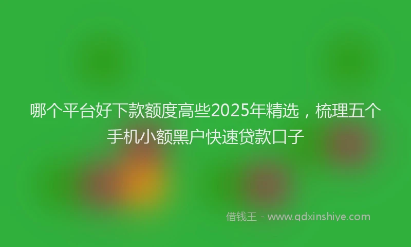 哪个平台好下款额度高些2025年精选，梳理五个手机小额黑户快速贷款口子