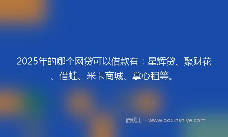 2025年的哪个网贷可以借款有：星辉贷、聚财花、借蛙、米卡商城、掌心租等。