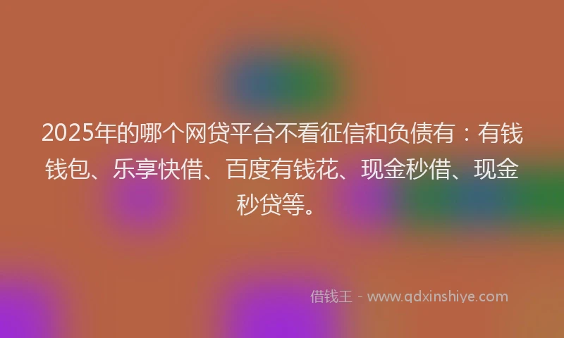 2025年的哪个网贷平台不看征信和负债有：有钱钱包、乐享快借、百度有钱花、现金秒借、现金秒贷等。
