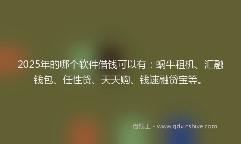 2025年的哪个软件借钱可以有：蜗牛租机、汇融钱包、任性贷、天天购、钱速融贷宝等。