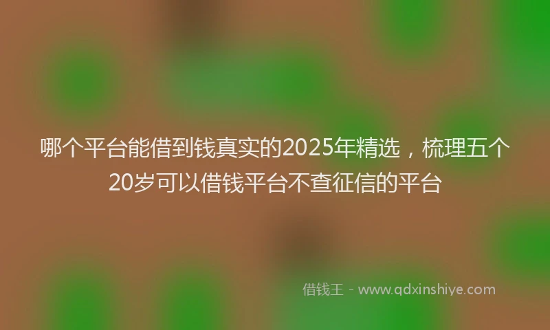 哪个平台能借到钱真实的2025年精选，梳理五个20岁可以借钱平台不查征信的平台