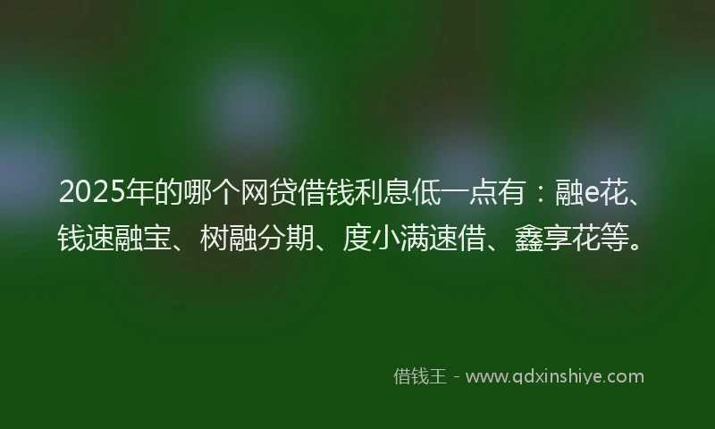 2025年的哪个网贷借钱利息低一点有：融e花、钱速融宝、树融分期、度小满速借、鑫享花等。