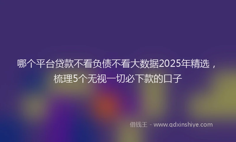 哪个平台贷款不看负债不看大数据2025年精选，梳理5个无视一切必下款的口子