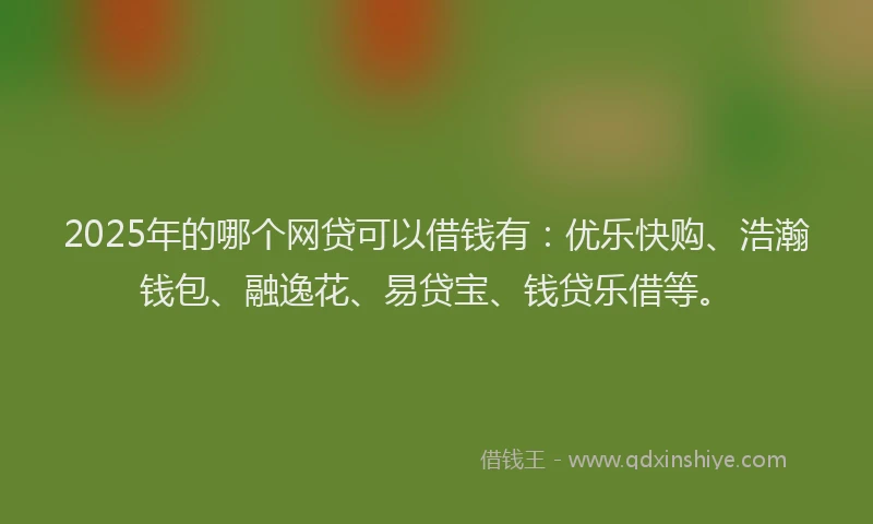 2025年的哪个网贷可以借钱有：优乐快购、浩瀚钱包、融逸花、易贷宝、钱贷乐借等。