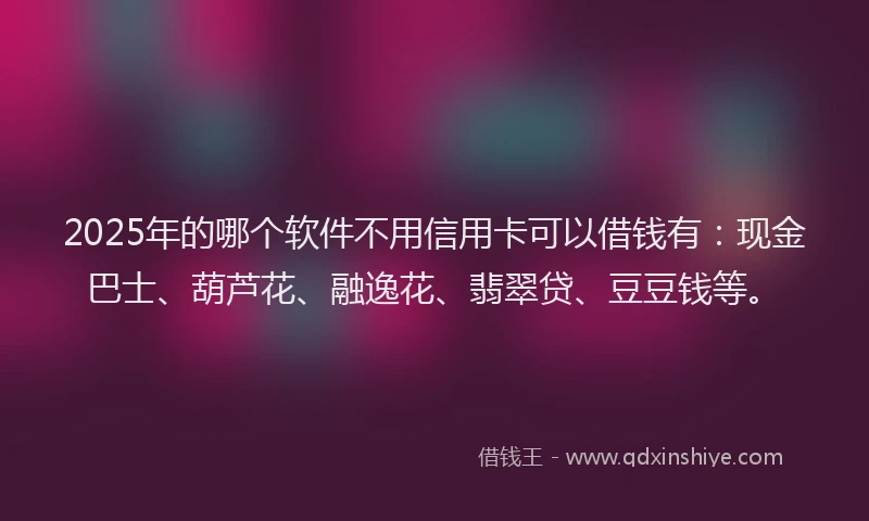 2025年的哪个软件不用信用卡可以借钱有：现金巴士、葫芦花、融逸花、翡翠贷、豆豆钱等。