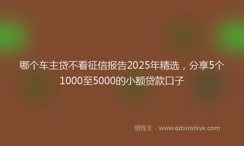 哪个车主贷不看征信报告2025年精选，分享5个1000至5000的小额贷款口子