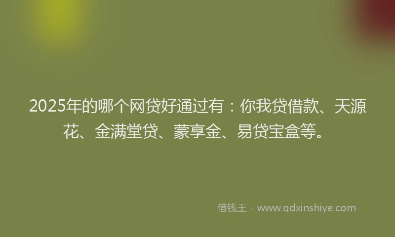 2025年的哪个网贷好通过有：你我贷借款、天源花、金满堂贷、蒙享金、易贷宝盒等。