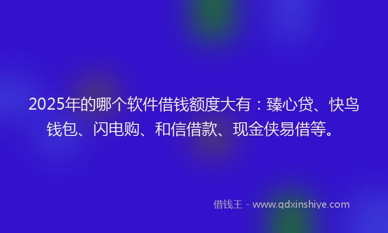 2025年的哪个软件借钱额度大有：臻心贷、快鸟钱包、闪电购、和信借款、现金侠易借等。