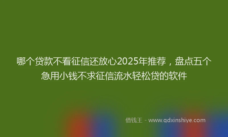 哪个贷款不看征信还放心2025年推荐，盘点五个急用小钱不求征信流水轻松贷的软件