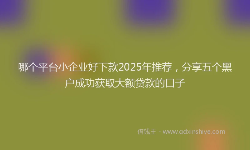哪个平台小企业好下款2025年推荐，分享五个黑户成功获取大额贷款的口子
