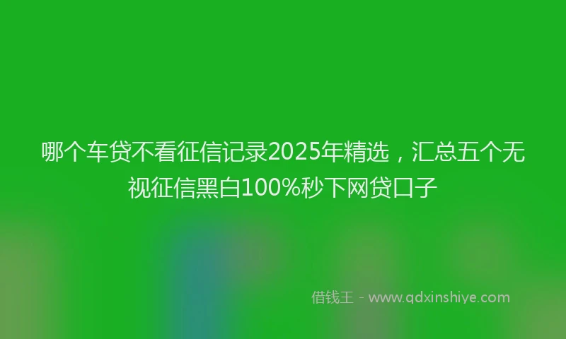 哪个车贷不看征信记录2025年精选，汇总五个无视征信黑白100%秒下网贷口子