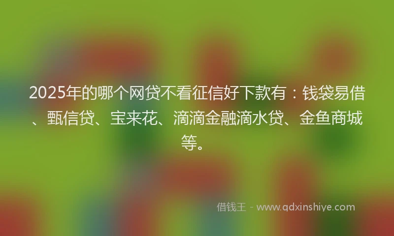 2025年的哪个网贷不看征信好下款有:钱袋易借、甄信贷、宝来花、滴滴金融滴水贷、金鱼商城等。