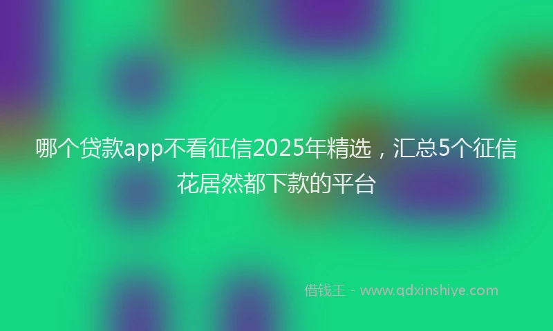 哪个贷款app不看征信2025年精选，汇总5个征信花居然都下款的平台