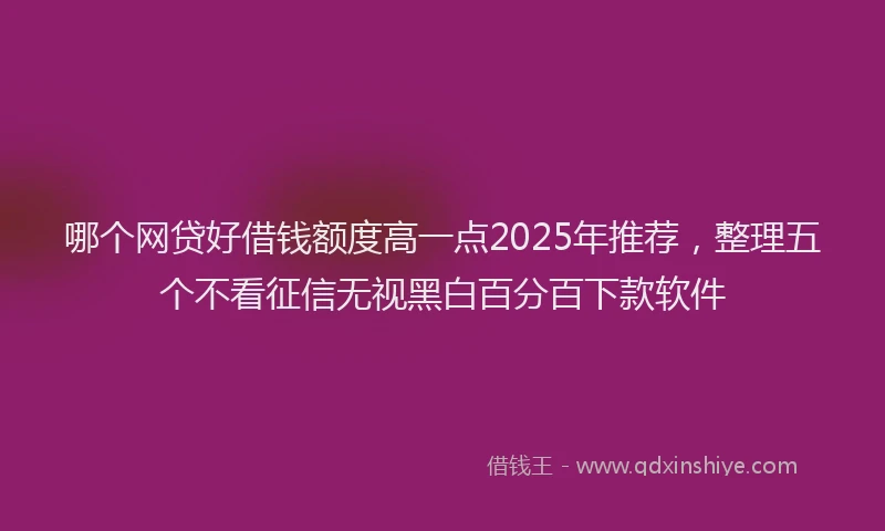 哪个网贷好借钱额度高一点2025年推荐，整理五个不看征信无视黑白百分百下款软件