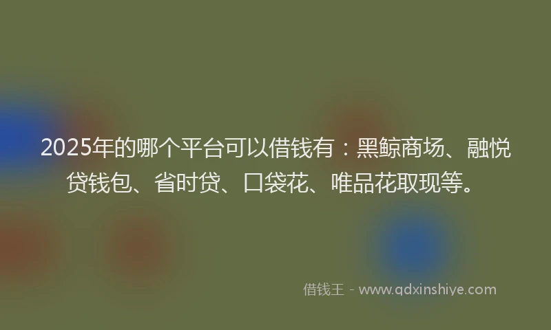 2025年的哪个平台可以借钱有：黑鲸商场、融悦贷钱包、省时贷、口袋花、唯品花取现等。