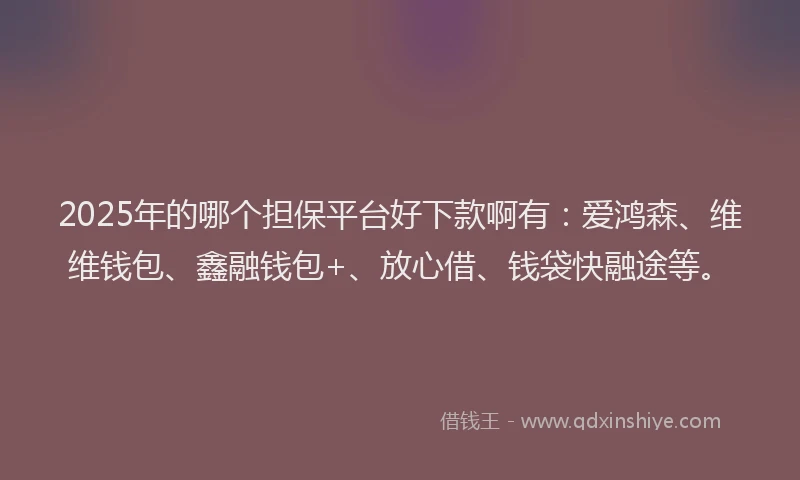 2025年的哪个担保平台好下款啊有：爱鸿森、维维钱包、鑫融钱包+、放心借、钱袋快融途等。