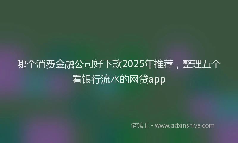 哪个消费金融公司好下款2025年推荐，整理五个看银行流水的网贷app