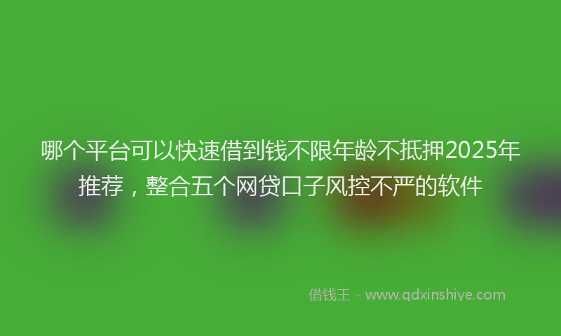 哪个平台可以快速借到钱不限年龄不抵押2025年推荐，整合五个网贷口子风控不严的软件