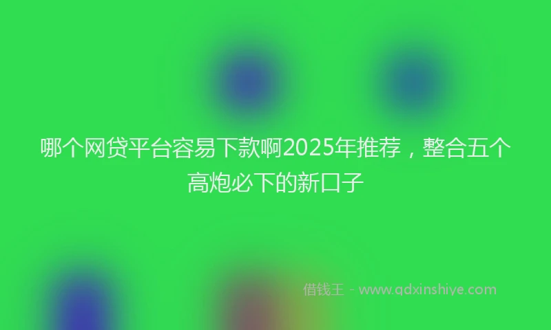 哪个网贷平台容易下款啊2025年推荐，整合五个高炮必下的新口子