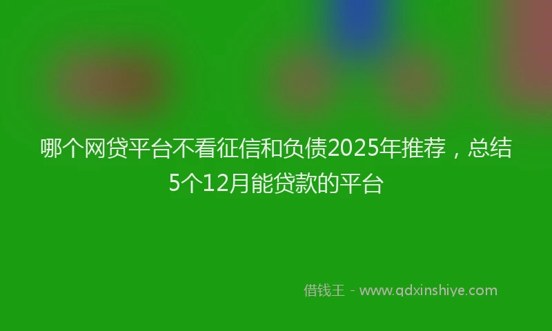 哪个网贷平台不看征信和负债2025年推荐，总结5个12月能贷款的平台