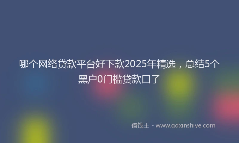 哪个网络贷款平台好下款2025年精选，总结5个黑户0门槛贷款口子