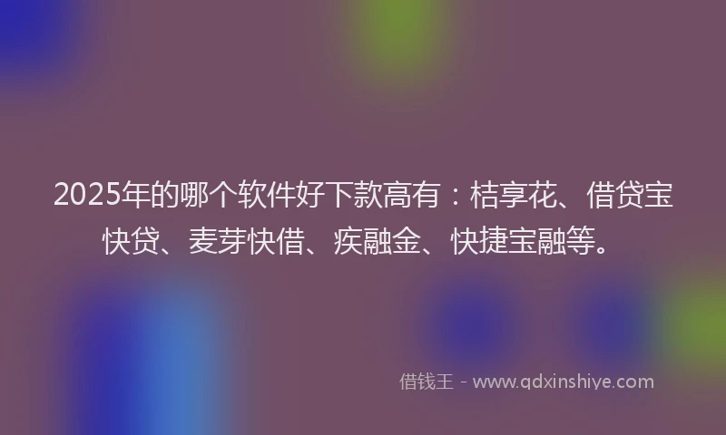 2025年的哪个软件好下款高有：桔享花、借贷宝快贷、麦芽快借、疾融金、快捷宝融等。