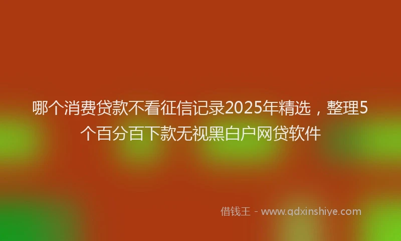 哪个消费贷款不看征信记录2025年精选，整理5个百分百下款无视黑白户网贷软件
