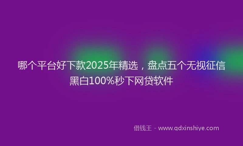 哪个平台好下款2025年精选，盘点五个无视征信黑白100%秒下网贷软件