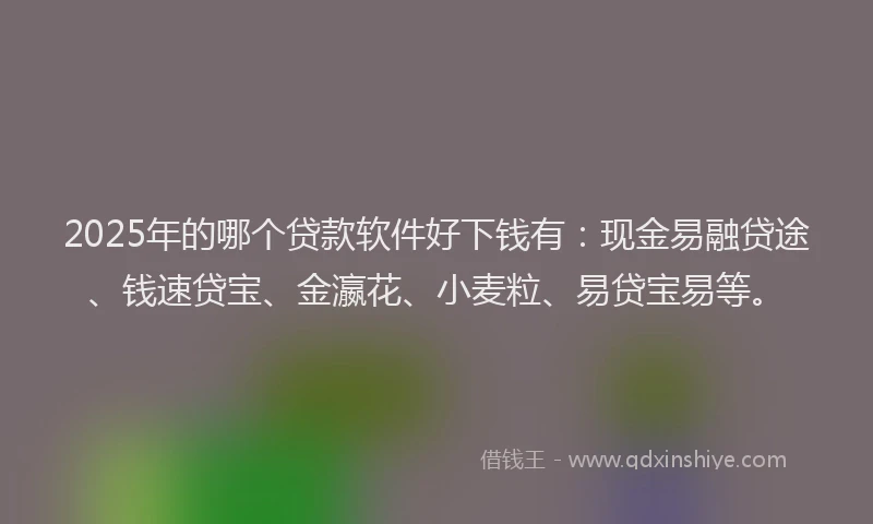 2025年的哪个贷款软件好下钱有：现金易融贷途、钱速贷宝、金瀛花、小麦粒、易贷宝易等。