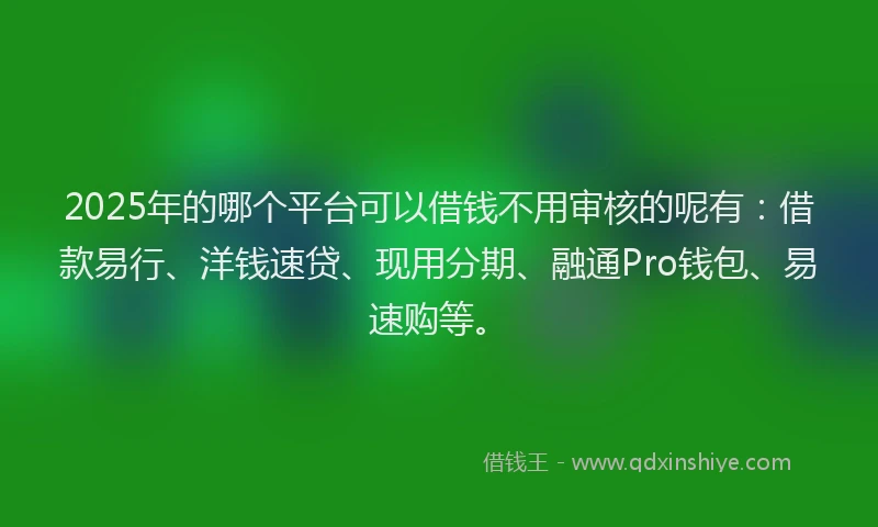 2025年的哪个平台可以借钱不用审核的呢有：借款易行、洋钱速贷、现用分期、融通Pro钱包、易速购等。