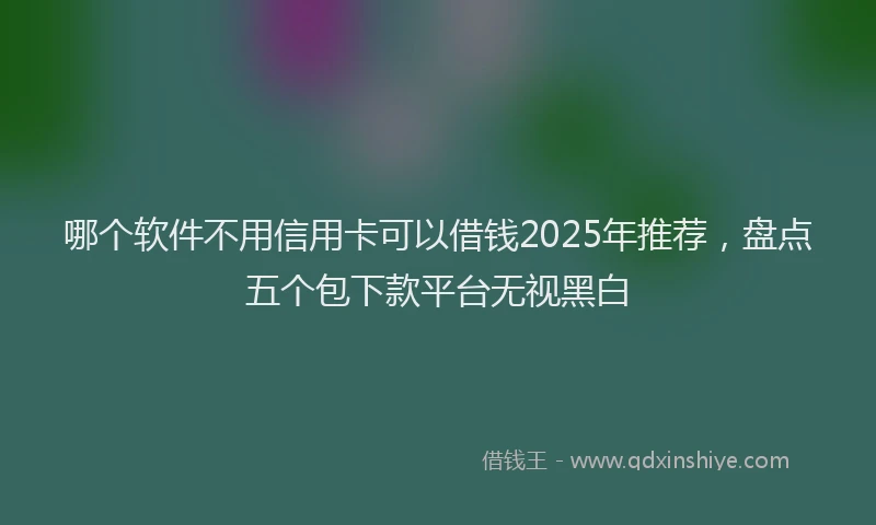 哪个软件不用信用卡可以借钱2025年推荐，盘点五个包下款平台无视黑白