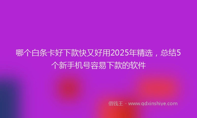 哪个白条卡好下款快又好用2025年精选，总结5个新手机号容易下款的软件