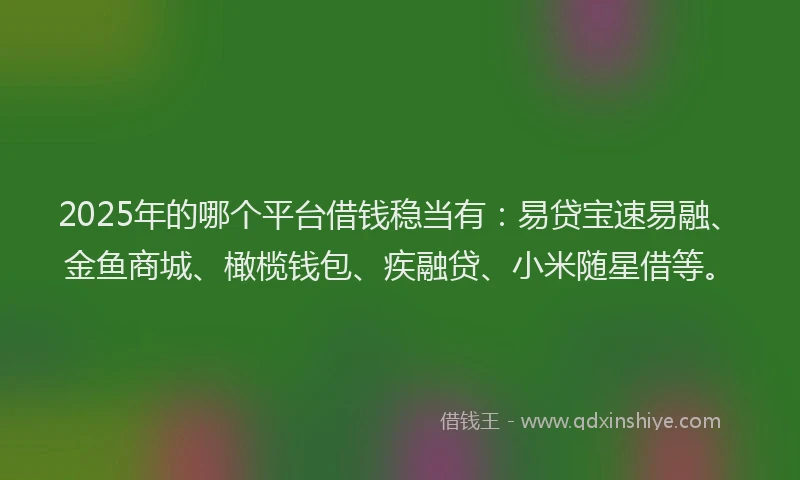 2025年的哪个平台借钱稳当有：易贷宝速易融、金鱼商城、橄榄钱包、疾融贷、小米随星借等。