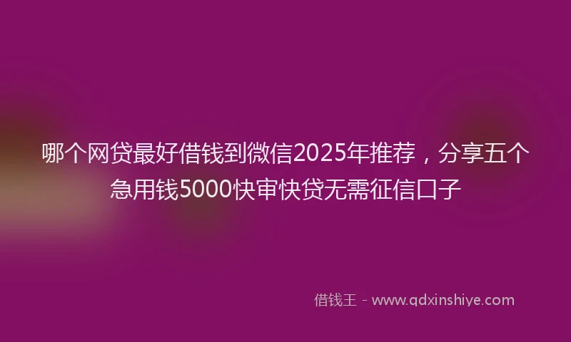 哪个网贷最好借钱到微信2025年推荐，分享五个急用钱5000快审快贷无需征信口子