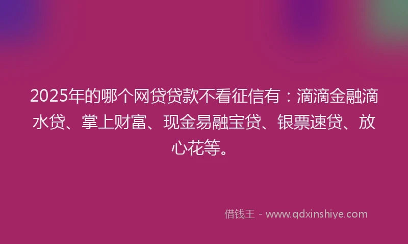 2025年的哪个网贷贷款不看征信有：滴滴金融滴水贷、掌上财富、现金易融宝贷、银票速贷、放心花等。