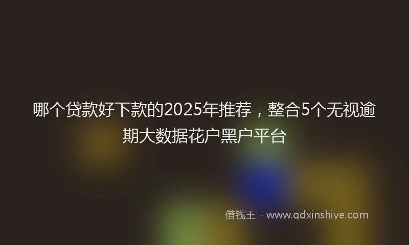 哪个贷款好下款的2025年推荐，整合5个无视逾期大数据花户黑户平台