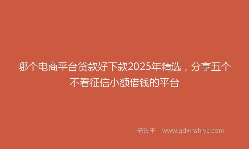 哪个电商平台贷款好下款2025年精选，分享五个不看征信小额借钱的平台