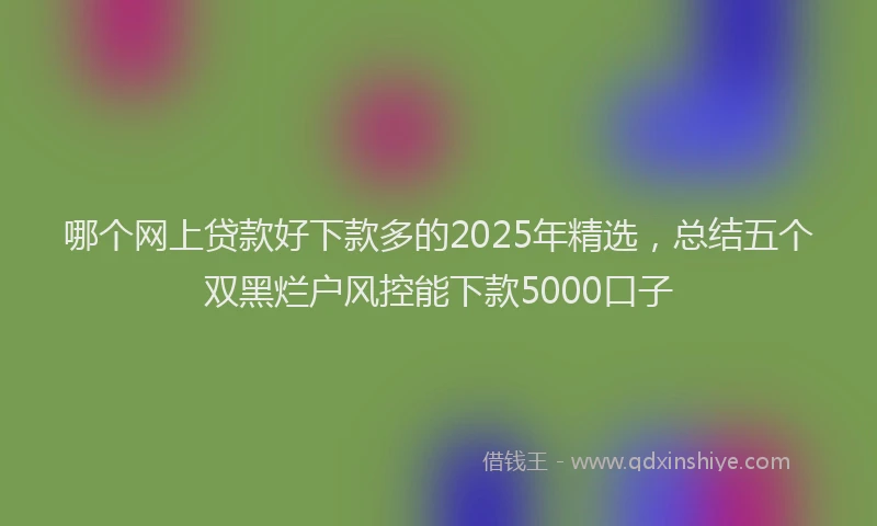 哪个网上贷款好下款多的2025年精选，总结五个双黑烂户风控能下款5000口子