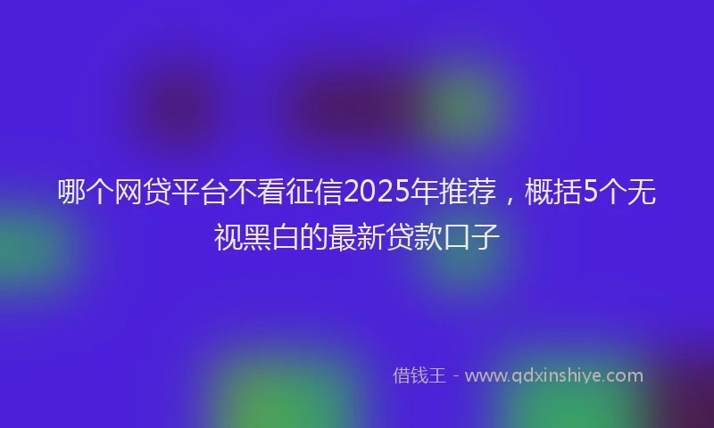 哪个网贷平台不看征信2025年推荐，概括5个无视黑白的最新贷款口子