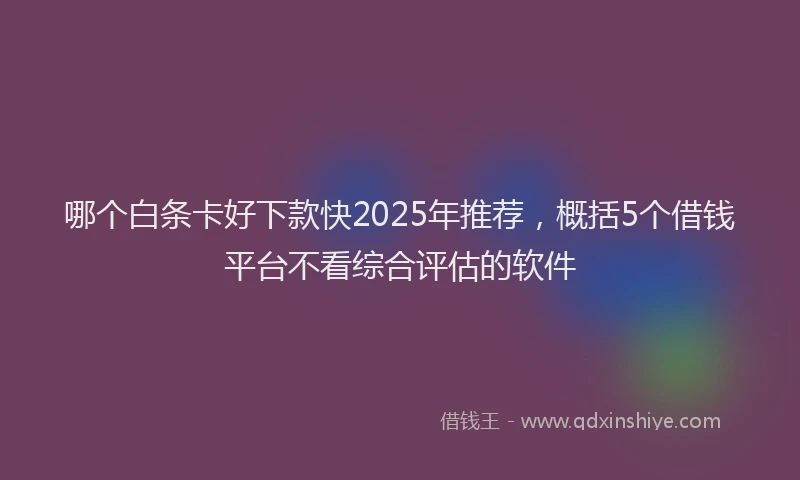 哪个白条卡好下款快2025年推荐，概括5个借钱平台不看综合评估的软件