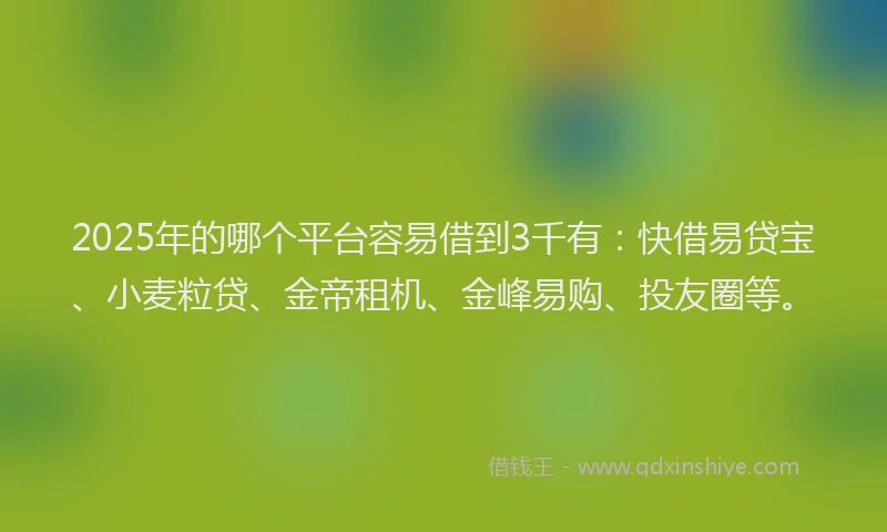 2025年的哪个平台容易借到3千有:快借易贷宝、小麦粒贷、金帝租机、金峰易购、投友圈等。