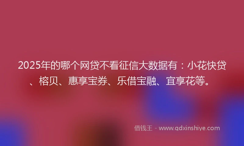 2025年的哪个网贷不看征信大数据有：小花快贷、榕贝、惠享宝券、乐借宝融、宜享花等。