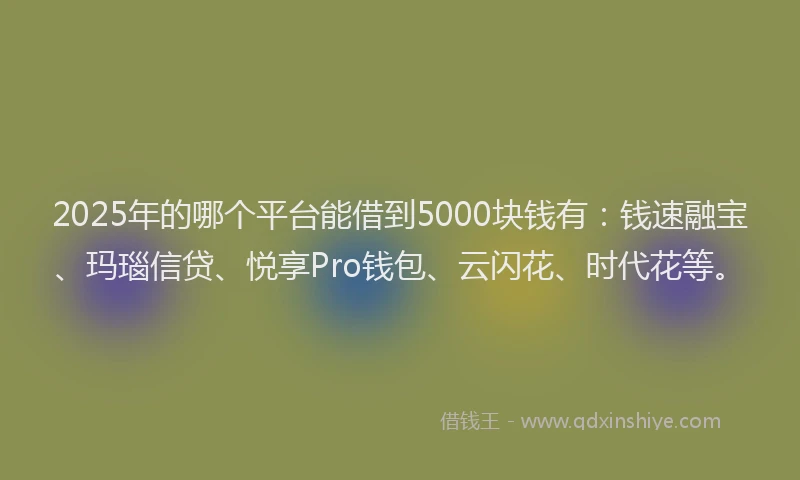 2025年的哪个平台能借到5000块钱有：钱速融宝、玛瑙信贷、悦享Pro钱包、云闪花、时代花等。