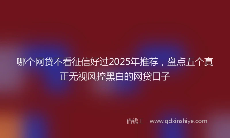 哪个网贷不看征信好过2025年推荐，盘点五个真正无视风控黑白的网贷口子